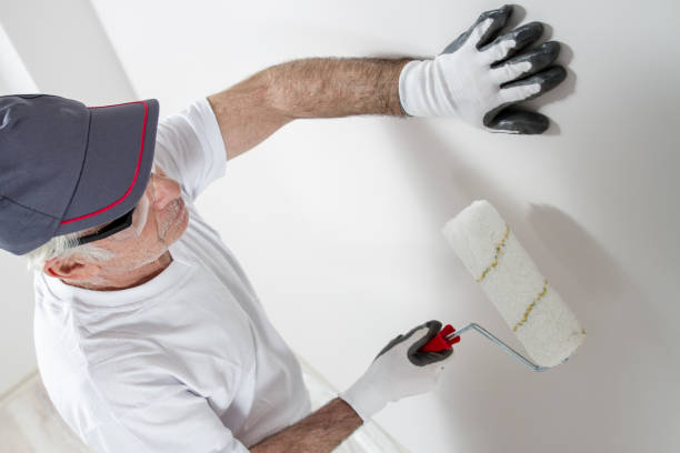 Reliable Kiawah Island, SC Mold Removal Solutions