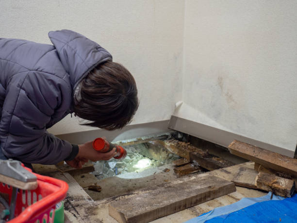 Best Residential Mold Inspection & Testing  in Kiawah Island, SC