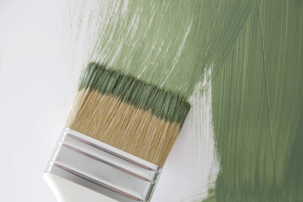 Best Residential Mold Inspection & Testing  in Kiawah Island, SC