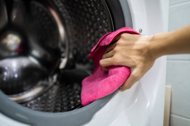 Best Mold Damage Restoration  in Kiawah Island, SC