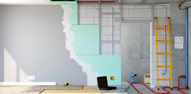 Best Mold Damage Restoration  in Kiawah Island, SC