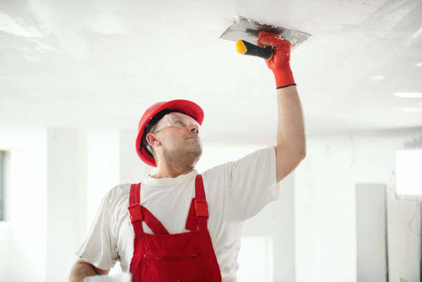 Best Mold Remediation for Vacation Homes  in Kiawah Island, SC