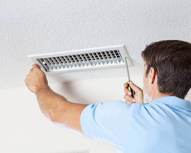 Best Industrial Mold Remediation  in Kiawah Island, SC