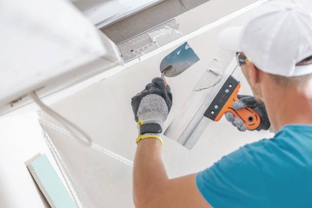 Best Asbestos and Lead Testing During Mold Inspection  in Kiawah Island, SC